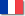 French flag icon